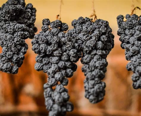 what is amarone wine.